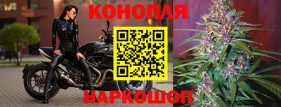 герыч Славянск-на-Кубани