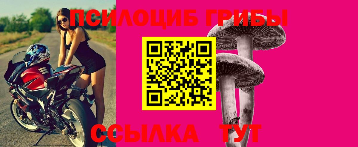 Анапа  Галлюциногенные грибы мицелий  Вход с VPN  Псилоцибиновые грибы GOLDEN TEACHER 